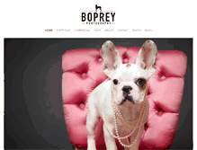 Tablet Screenshot of boprey.com